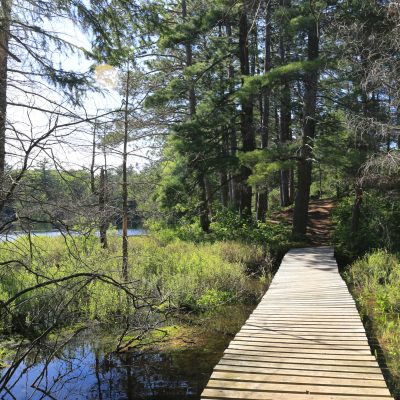 Related Article: 6 Wisconsin trails with amazing views | boardwalk on fallison lake trail boulder junction wisconsin