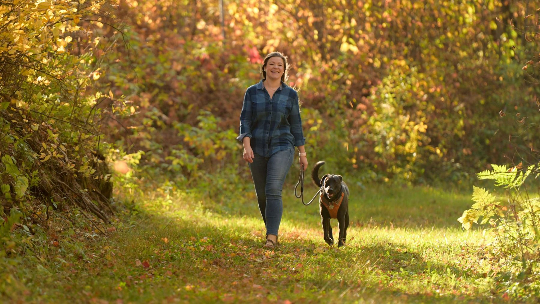 Article: Fall in love with these beautiful Wisconsin hikes