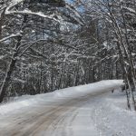 Article: Don’t miss these scenic winter drives