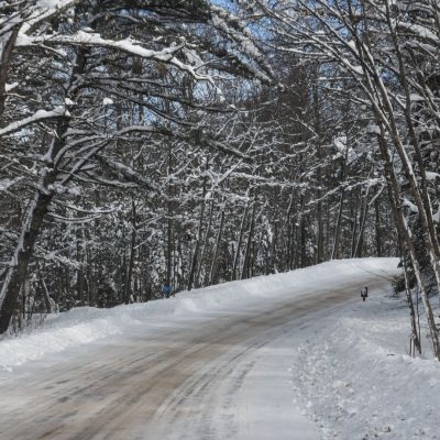 Related Article: Don’t miss these scenic winter drives