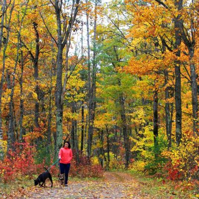 Find your Wisconsin Travel Inspiration | The best hiking in the Northwoods