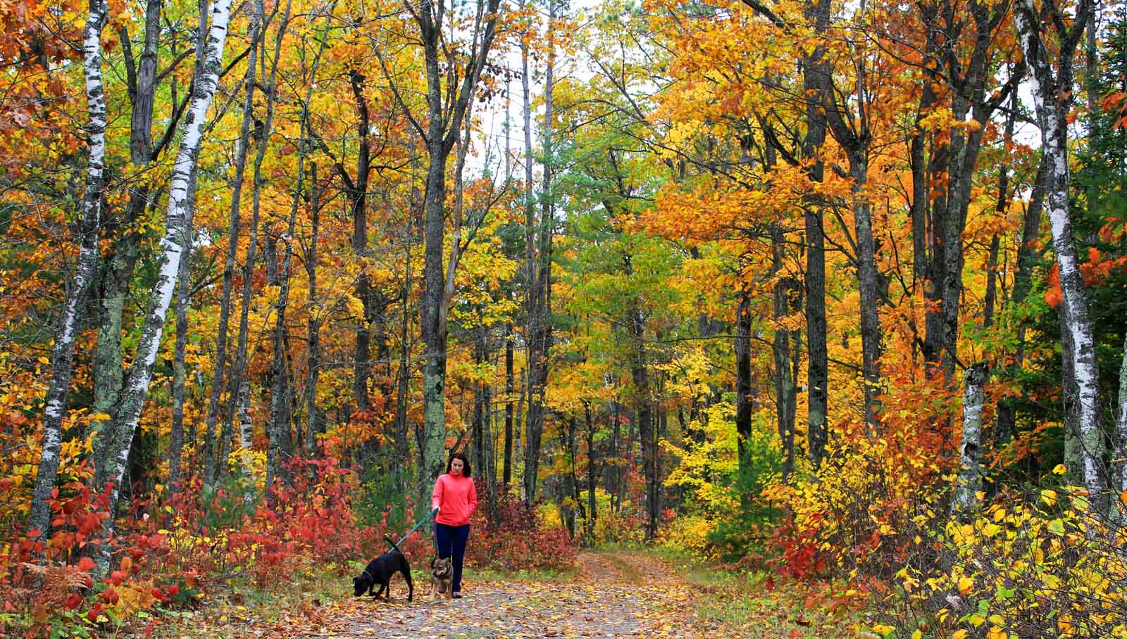 Article: The best hiking in the Northwoods