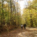 Article: Four ways to explore the Kettle Moraine | kettle moraine state forest fall