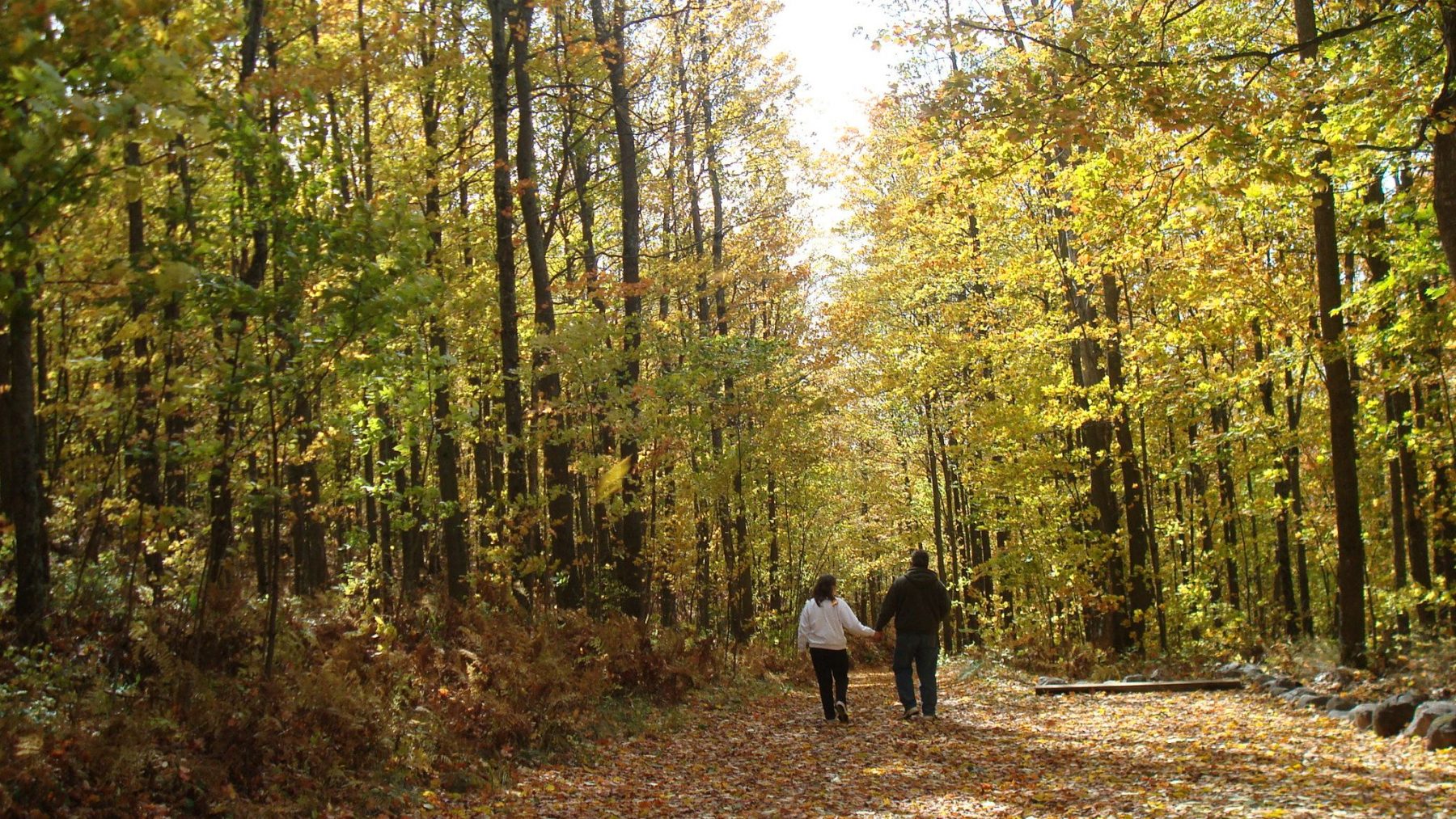 Article: Four ways to explore the Kettle Moraine | kettle moraine state forest fall