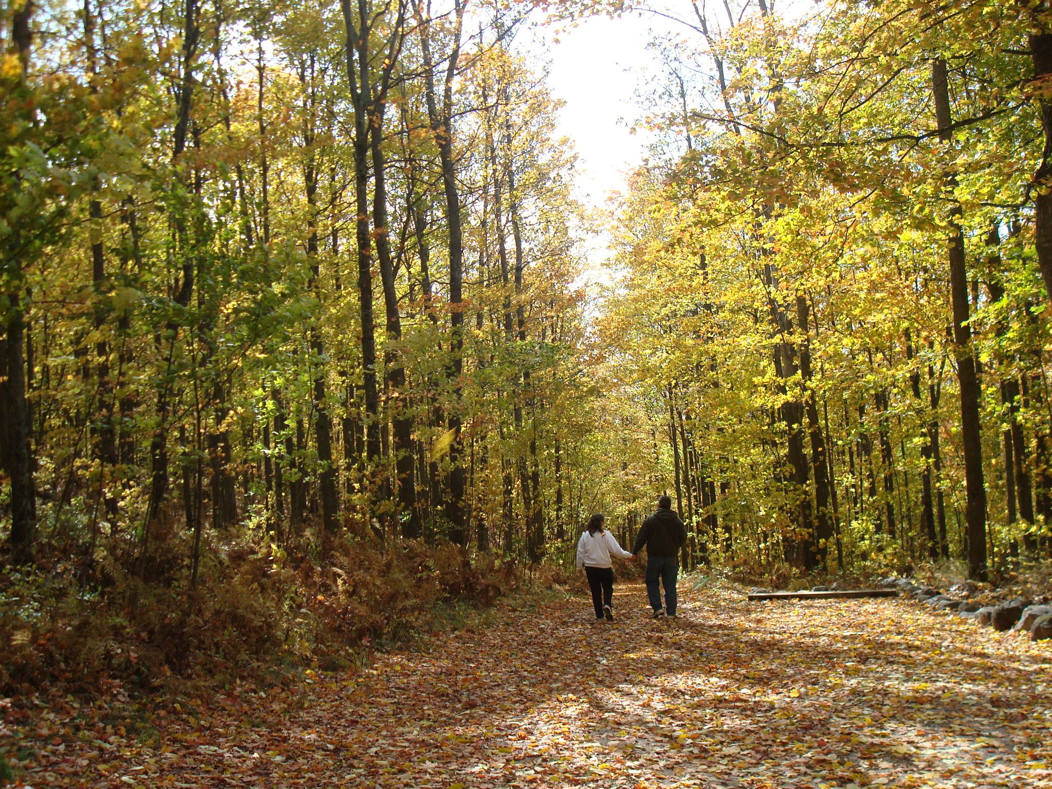 kettle moraine state forest fall