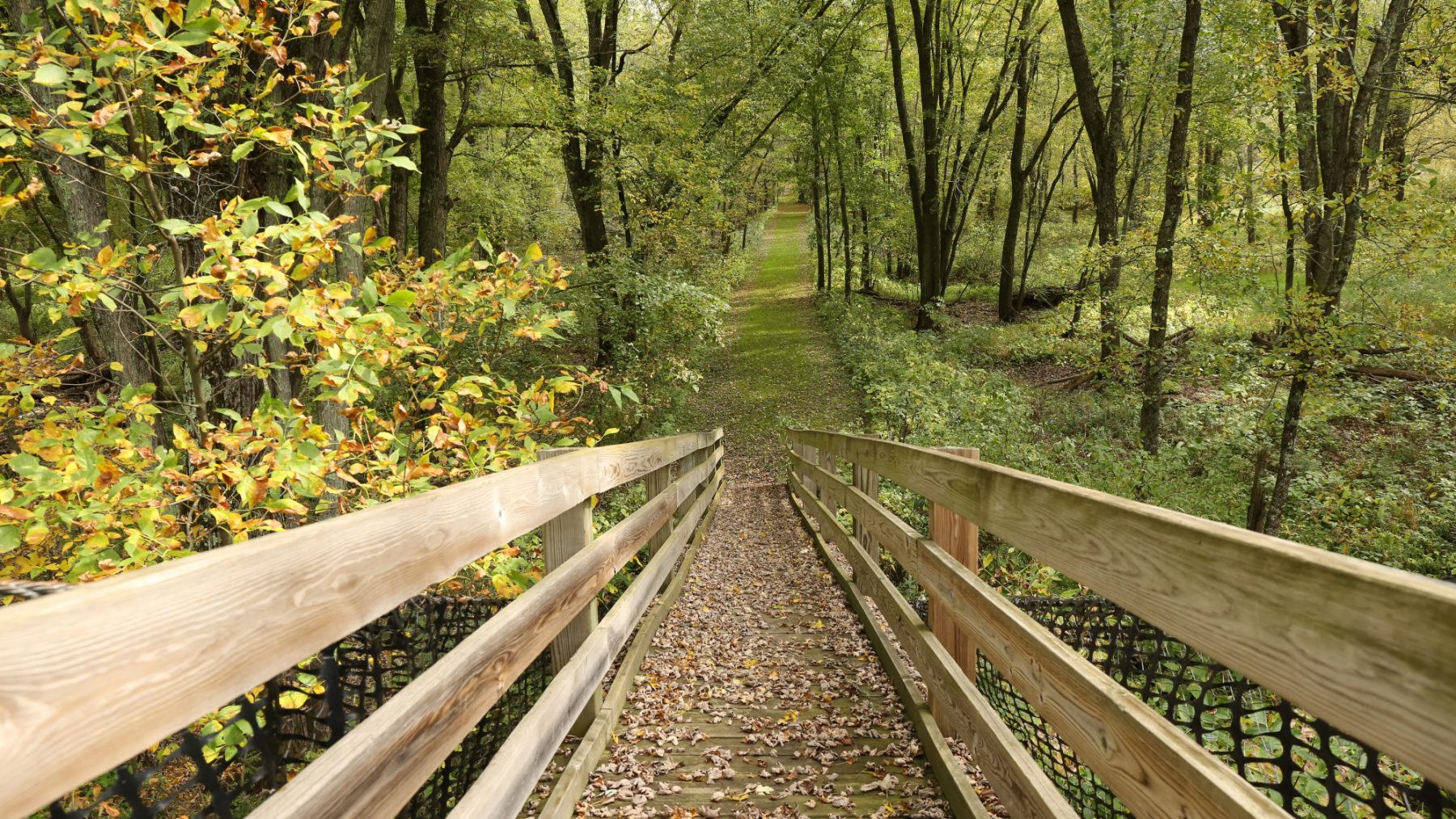 Article: Find your next Wisconsin vacation | fall hiking rusk county wisconsin