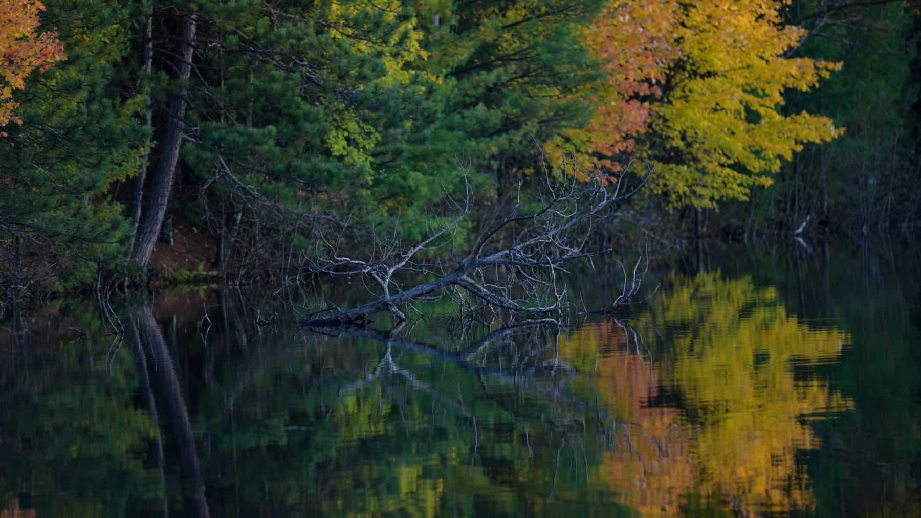 Article: Marvel at the Northwoods’ eye-popping scenery | Mcgrath Lake Oneida County