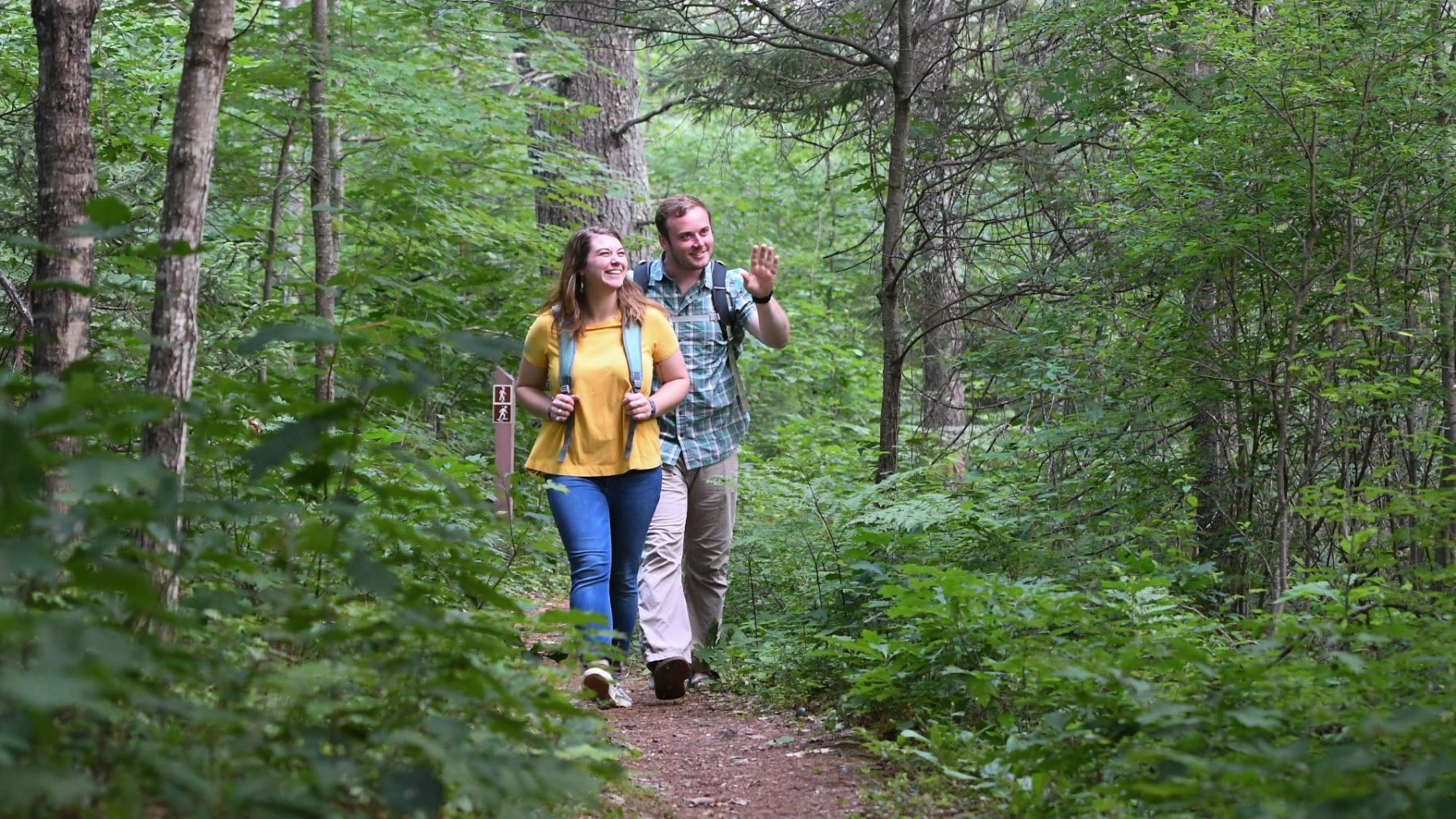 Article: Discover Wisconsin’s wonderful wilderness on these hikes | North Trout Lake Nature Trail