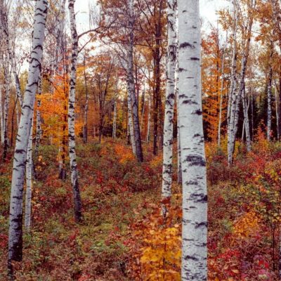 Find your Wisconsin Travel Inspiration | Fall