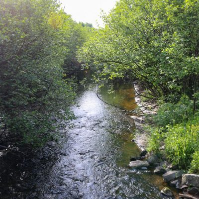 Related Article: Find Wisconsin’s best trout fishing in these waters | Blue hills Rusk county