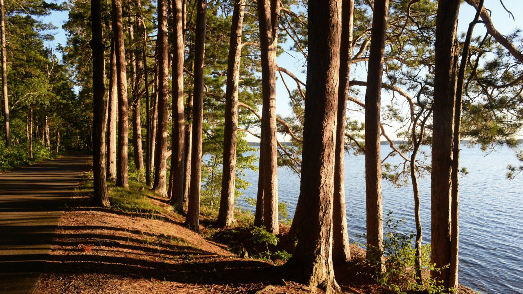 Article: Scenic family road trips | Ben Bendrick Drive, Boulder Junction