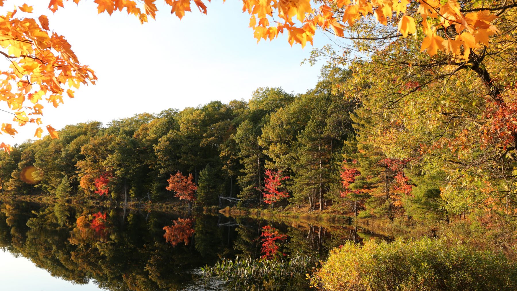 Article: Wisconsin fall color report: a great season finale | fall color oneida county wi