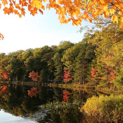 fall color oneida county wi
