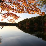 Article: Where to see some of Wisconsin’s best fall colors | Fall colors on lake in Oneida County Wisconsin