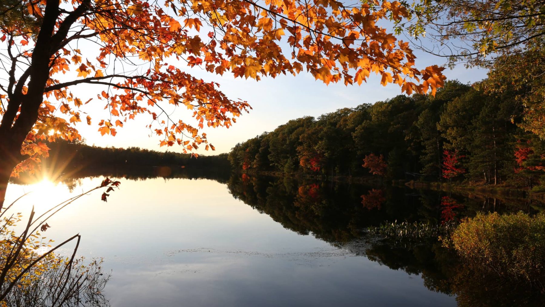 Article: Where to see some of Wisconsin’s best fall colors | Fall colors on lake in Oneida County Wisconsin