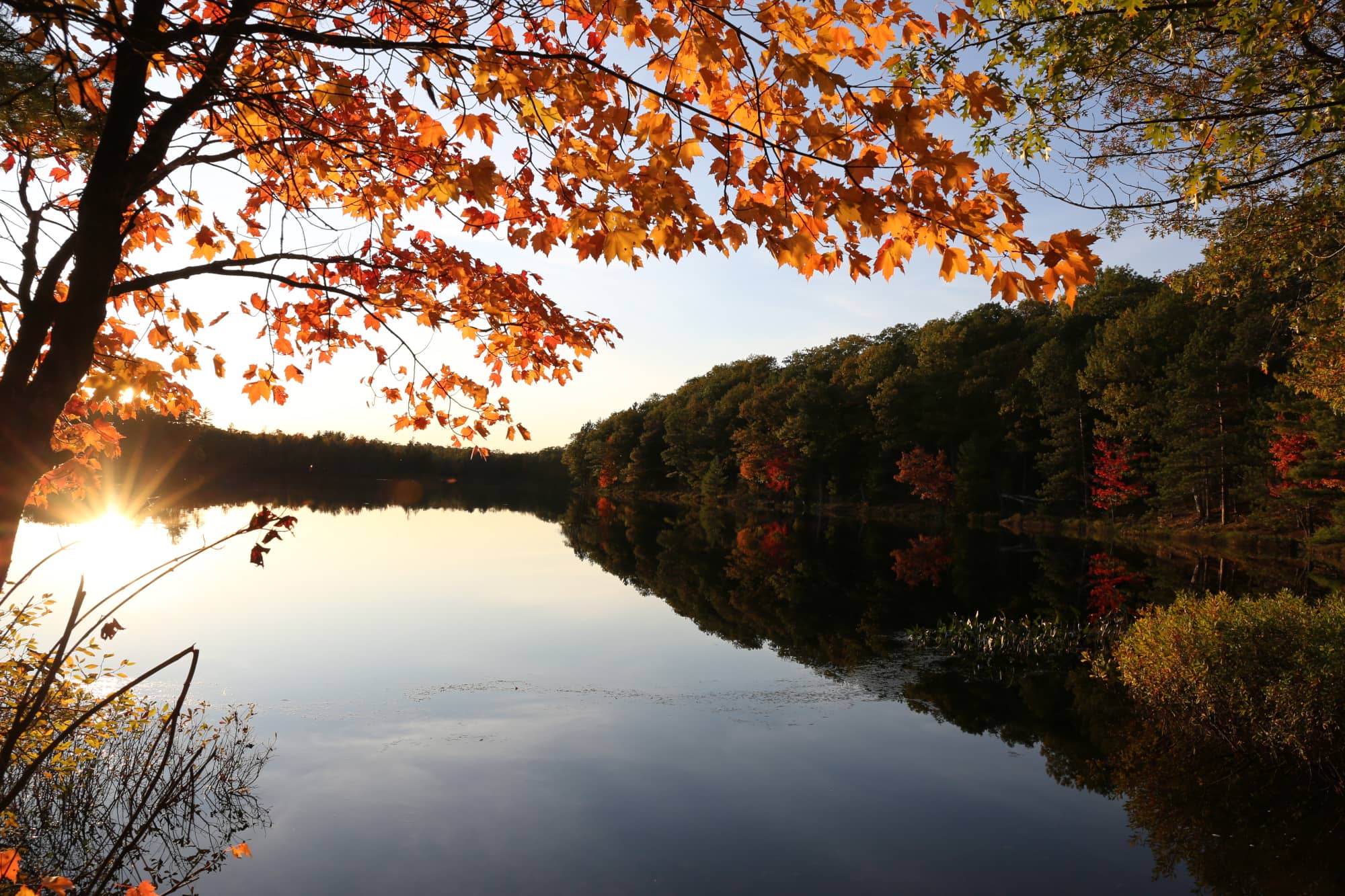 Fall colors on lake in Oneida County Wisconsin