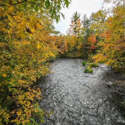 Related Article: Where to see some of Wisconsin’s best fall colors | wisconsin river in fall vilas county wisconsin