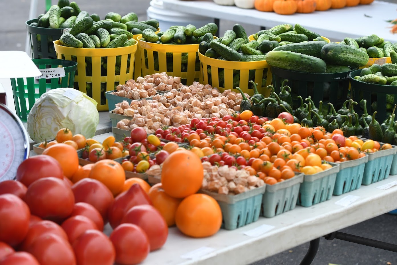 marshfield wi farmers market