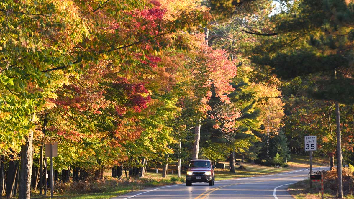 Car driving through forest in fall