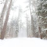 Wintry Mix