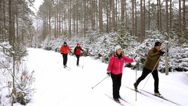 Article: Great spots for hiking, skiing & snowshoeing this winter | Cross-country skiing on the Madeline Lake Trail Vilas County WI
