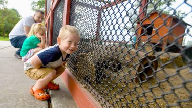 Article: Zoos & wildlife parks you should visit in Wisconsin | Family at Wildwood Park & Zoo Marshfield WI