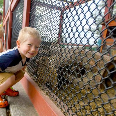 Find your Wisconsin Travel Inspiration | Zoos & wildlife parks you should visit in Wisconsin: Family at Wildwood Park & Zoo Marshfield WI