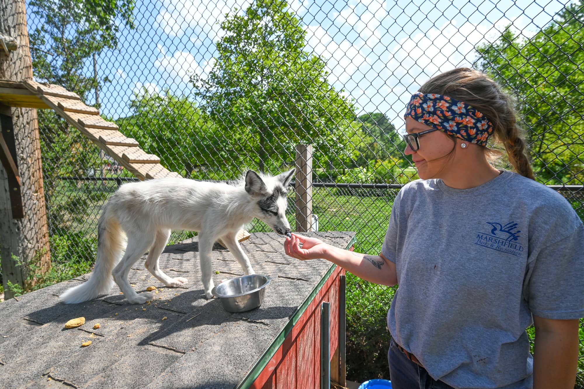 zookeeper feeding animal at Wildwood Zoo Marshfield WI