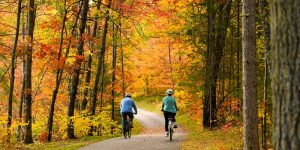 Cyclist couple riding through the fall forest of Vilas Trail in Boulder Junction, Wisconsin