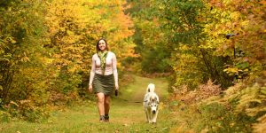Person hikes with husky dog through the fall forest of Razorback Ridges Trail in Sayner, Wisconsin.