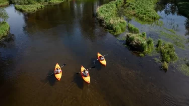 Article: Where to find great canoeing & kayaking in Vilas County | Three kayaks on the Manitowish River in Vilas County Wisconsin