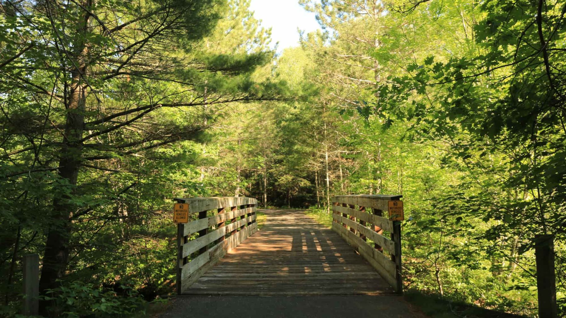 Article: All about the Heart of Vilas County Bike Trail | Heart of Vilas County Bike Trail Boulder Junction Wisconsin