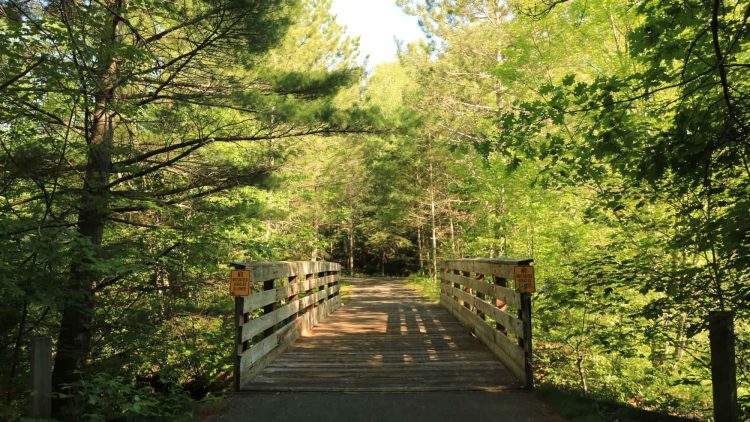 Article: All about the Heart of Vilas County Bike Trail | Heart of Vilas County Bike Trail Boulder Junction Wisconsin