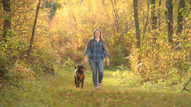 Article: Stunning fall color hikes in Vilas County | Woman and dog walking on Shannon Trail in Vilas County WI in fall
